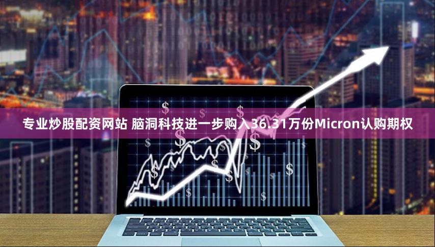 专业炒股配资网站 脑洞科技进一步购入36.31万份Micron认购期权