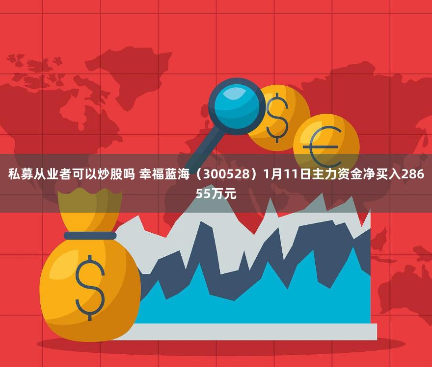 私募从业者可以炒股吗 幸福蓝海（300528）1月11日主力资金净买入28655万元